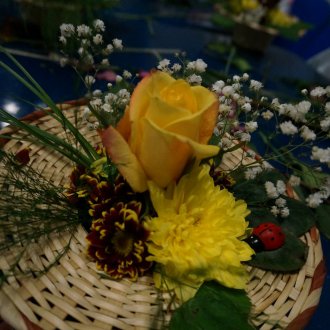 dsc00248