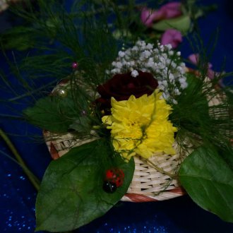 dsc00250
