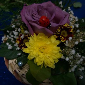 dsc00251